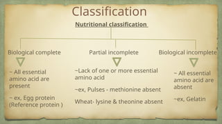 Comprehensive Overview of Proteins: Structure, Function, and Dietary ...