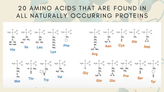 20 AMINO ACIDS THAT ARE FOUND IN
ALL NATURALLY OCCURRING PROTEINS
 
