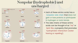 Each of these amino acids has a
nonpolar side chain that does not
gain or lose protons or participate
in hydrogen or ionic bonds.
The side chains of these amino
acids can be thought of as "oily" or
lipid-like, a property that promotes
hydrophobic interaction (water
fearing or repelling).
Nonpolar (hydrophobic) and
uncharged
 