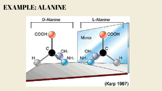 EXAMPLE: ALANINE
 