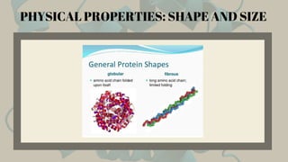 PHYSICAL PROPERTIES: SHAPE AND SIZE
 