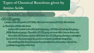 Types of Chemical Reactions given by
Amino Acids
Chemical Reactions due to...
Chemical Reactions due to...
-COOH group
-COOH group
Amino acids forms salts (-COONa) with bases and esters (-COOR’) with alcohols.
1
1.
.Amino acids forms salts (-COONa) with bases and esters (-COOR’) with alcohols.
1.
A. Formation of Salts with Bases:
Amino acids contain both acidic (carboxyl group, -COOH) and basic (amino group, -
NH2) functional groups. The acidic -COOH group can react with a base to form a salt.
The amino acid donates a proton (H+) from the -COOH group, forming a carboxylate
ion (-COO⁻). The base accepts the proton to become a positively charged ion.
The resulting salt is formed between the carboxylate ion of the amino acid and the
positively charged ion of the base.
A. Formation of Salts with Bases:
Amino acids contain both acidic (carboxyl group, -COOH) and basic (amino group, -
NH2) functional groups. The acidic -COOH group can react with a base to form a salt.
The amino acid donates a proton (H+) from the -COOH group, forming a carboxylate
ion (-COO⁻). The base accepts the proton to become a positively charged ion.
The resulting salt is formed between the carboxylate ion of the amino acid and the
positively charged ion of the base.
 