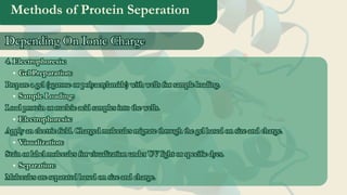 Methods of Protein Seperation
4. Electrophoresis:
Gel Preparation:
Prepare a gel (agarose or polyacrylamide) with wells for sample loading.
Sample Loading:
Load protein or nucleic acid samples into the wells.
Electrophoresis:
Apply an electric field. Charged molecules migrate through the gel based on size and charge.
Visualization:
Stain or label molecules for visualization under UV light or specific dyes.
Separation:
Molecules are separated based on size and charge.
4. Electrophoresis:
Gel Preparation:
Prepare a gel (agarose or polyacrylamide) with wells for sample loading.
Sample Loading:
Load protein or nucleic acid samples into the wells.
Electrophoresis:
Apply an electric field. Charged molecules migrate through the gel based on size and charge.
Visualization:
Stain or label molecules for visualization under UV light or specific dyes.
Separation:
Molecules are separated based on size and charge.
Depending On Ionic Charge
Depending On Ionic Charge
 