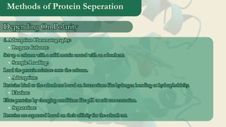 Methods of Protein Seperation
6. Adsorption Chromatography:
Prepare Column:
Set up a column with a solid matrix coated with an adsorbent.
Sample Loading:
Load the protein mixture onto the column.
Adsorption:
Proteins bind to the adsorbent based on interactions like hydrogen bonding or hydrophobicity.
Elution:
Elute proteins by changing conditions like pH or salt concentration.
Separation:
Proteins are separated based on their affinity for the adsorbent.
6. Adsorption Chromatography:
Prepare Column:
Set up a column with a solid matrix coated with an adsorbent.
Sample Loading:
Load the protein mixture onto the column.
Adsorption:
Proteins bind to the adsorbent based on interactions like hydrogen bonding or hydrophobicity.
Elution:
Elute proteins by changing conditions like pH or salt concentration.
Separation:
Proteins are separated based on their affinity for the adsorbent.
Depending On Polarity
Depending On Polarity
 