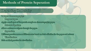 Methods of Protein Seperation
7. Paper Chromatography:
Prepare Paper:
Apply a small spot of the protein sample on chromatography paper.
Solvent Migration:
Allow a solvent to migrate through the paper.
Separation:
Different proteins move at different rates based on their affinities for the paper and solvent.
Visualization:
Stain or label proteins for visualization.
7. Paper Chromatography:
Prepare Paper:
Apply a small spot of the protein sample on chromatography paper.
Solvent Migration:
Allow a solvent to migrate through the paper.
Separation:
Different proteins move at different rates based on their affinities for the paper and solvent.
Visualization:
Stain or label proteins for visualization.
Depending On Polarity
Depending On Polarity
 