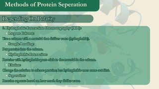 Methods of Protein Seperation
9. Hydrophobic Interaction Chromatography (HIC):
Prepare Column:
Use a column with a material that dislikes water (hydrophobic).
Sample Loading:
Put proteins into the column.
Hydrophobic Interaction:
Proteins with hydrophobic parts stick to the material in the column.
Elution:
Change the solution to release proteins; less hydrophobic ones come out first.
Separation:
Proteins separate based on how much they dislike water.
9. Hydrophobic Interaction Chromatography (HIC):
Prepare Column:
Use a column with a material that dislikes water (hydrophobic).
Sample Loading:
Put proteins into the column.
Hydrophobic Interaction:
Proteins with hydrophobic parts stick to the material in the column.
Elution:
Change the solution to release proteins; less hydrophobic ones come out first.
Separation:
Proteins separate based on how much they dislike water.
Depending On Polarity
Depending On Polarity
 