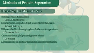 Methods of Protein Seperation
10. Dialysis and Ultrafiltration:
Sample Containment:
Place the protein sample in a dialysis bag or ultrafiltration device.
Solvent Exchange:
Dialyze or ultrafilter the sample against a buffer to exchange solvents.
Concentration:
Concentrate the sample by removing excess solvent.
Separation:
Larger molecules are retained, while smaller molecules pass through.
10. Dialysis and Ultrafiltration:
Sample Containment:
Place the protein sample in a dialysis bag or ultrafiltration device.
Solvent Exchange:
Dialyze or ultrafilter the sample against a buffer to exchange solvents.
Concentration:
Concentrate the sample by removing excess solvent.
Separation:
Larger molecules are retained, while smaller molecules pass through.
Depending On Molecular Size
Depending On Molecular Size
 