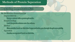 Methods of Protein Seperation
12. Gel Filtration Chromatography:
Prepare Column:
Set up a column with a porous gel matrix.
Sample Loading:
Load the protein mixture onto the column.
Elution:
Elute proteins based on their size. Larger molecules pass through the gel more quickly.
Separation:
Proteins are separated based on their size.
12. Gel Filtration Chromatography:
Prepare Column:
Set up a column with a porous gel matrix.
Sample Loading:
Load the protein mixture onto the column.
Elution:
Elute proteins based on their size. Larger molecules pass through the gel more quickly.
Separation:
Proteins are separated based on their size.
Depending On Molecular Size
Depending On Molecular Size
 