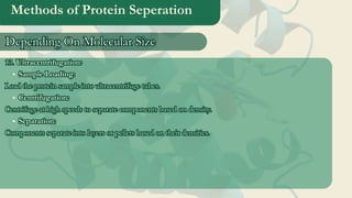 Methods of Protein Seperation
13. Ultracentrifugation:
Sample Loading:
Load the protein sample into ultracentrifuge tubes.
Centrifugation:
Centrifuge at high speeds to separate components based on density.
Separation:
Components separate into layers or pellets based on their densities.
13. Ultracentrifugation:
Sample Loading:
Load the protein sample into ultracentrifuge tubes.
Centrifugation:
Centrifuge at high speeds to separate components based on density.
Separation:
Components separate into layers or pellets based on their densities.
Depending On Molecular Size
Depending On Molecular Size
 