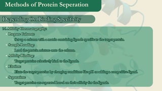 Methods of Protein Seperation
14. Affinity Chromatography:
Prepare Column:
Set up a column with a matrix containing ligands specific to the target protein.
Sample Loading:
Load the protein mixture onto the column.
Affinity Binding:
Target proteins selectively bind to the ligands.
Elution:
Elute the target proteins by changing conditions like pH or adding a competitive ligand.
Separation:
Target proteins are separated based on their affinity for the ligands.
14. Affinity Chromatography:
Prepare Column:
Set up a column with a matrix containing ligands specific to the target protein.
Sample Loading:
Load the protein mixture onto the column.
Affinity Binding:
Target proteins selectively bind to the ligands.
Elution:
Elute the target proteins by changing conditions like pH or adding a competitive ligand.
Separation:
Target proteins are separated based on their affinity for the ligands.
Depending On Binding Specificity
Depending On Binding Specificity
 