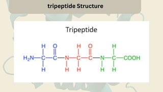 tripeptide Structure
 