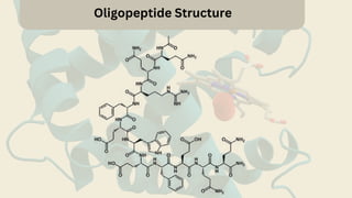 Oligopeptide Structure
 