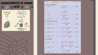 Amino Acid
Amino Acid
CHARACTERISTIC OF AMINO
ACID
 