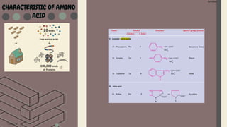 Amino Acid
Amino Acid
CHARACTERISTIC OF AMINO
ACID
 