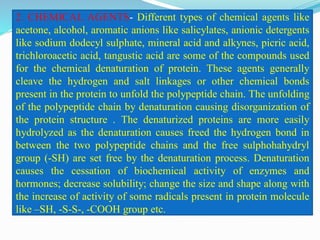 Protein-An overview | PDF
