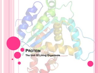 PROTEIN
The Unit Of Living Organisms

 