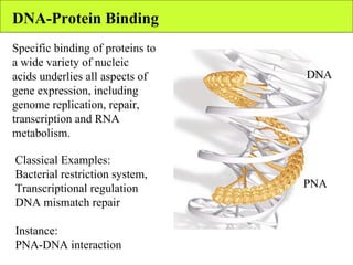 Protein dna interaction | PPT