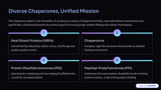 Chapperone Sign Protein-Folding-Chaperones:Guardians of Cellular Integrity | PDF