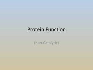 Protein Function (non-Catalytic) 