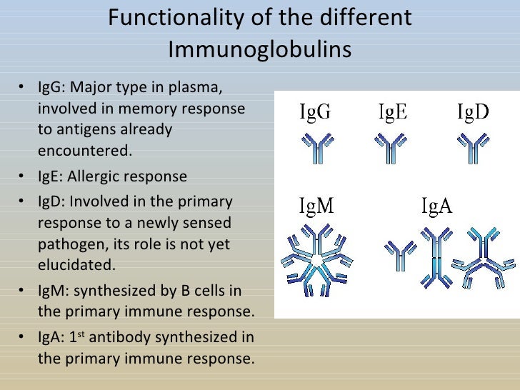 Protein Function