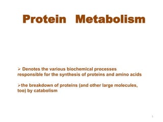 Protein Metabolism
1
 Denotes the various biochemical processes
responsible for the synthesis of proteins and amino acids
the breakdown of proteins (and other large molecules,
too) by catabolism
 
