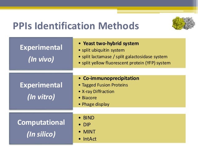 proteins of 9 experiment properties protein interaction (PPI) Protein proteins of 9 experiment properties protein interaction (PPI) Protein
