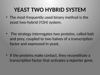 YEAST TWO HYBRID SYSTEM
• The most frequently used binary method is the
yeast two-hybrid (Y2H) system.
• The strategy interrogates two proteins, called bait
and prey, coupled to two halves of a transcription
factor and expressed in yeast.
• If the proteins make contact, they reconstitute a
transcription factor that activates a reporter gene.
 