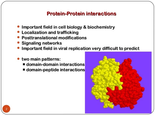 Protein protein interactions-ppt