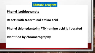 Phenyl isothiocyanate
Reacts with N-terminal amino acid
Phenyl thiohydantoin (PTH)-amino acid is liberated
Identified by chromatography
Edmans reagent
 