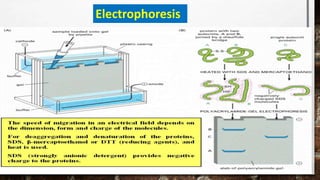 Electrophoresis
 