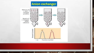 Anion exchanger
 