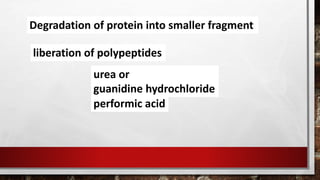 Degradation of protein into smaller fragment
liberation of polypeptides
urea or
guanidine hydrochloride
performic acid
 