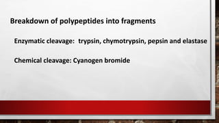 Breakdown of polypeptides into fragments
trypsin, chymotrypsin, pepsin and elastaseEnzymatic cleavage:
Chemical cleavage: Cyanogen bromide
 