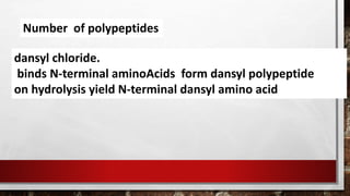 Number of polypeptides
dansyl chloride.
binds N-terminal aminoAcids form dansyl polypeptide
on hydrolysis yield N-terminal dansyl amino acid
 