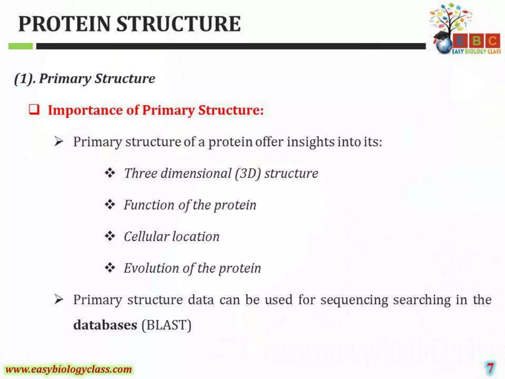 Protein structure-ppt-by-easybiologyclass | PPT
