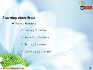 Protein structure-ppt-by-easybiologyclass | PPT