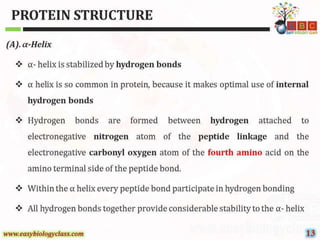 Protein-Structure-PPT