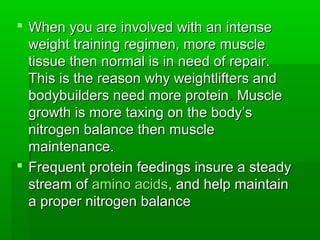  When you are involved with an intense
  weight training regimen, more muscle
  tissue then normal is in need of repair.
  This is the reason why weightlifters and
  bodybuilders need more protein . Muscle
  growth is more taxing on the body’s
  nitrogen balance then muscle
  maintenance.
 Frequent protein feedings insure a steady
  stream of amino acids, and help maintain
  a proper nitrogen balance
 