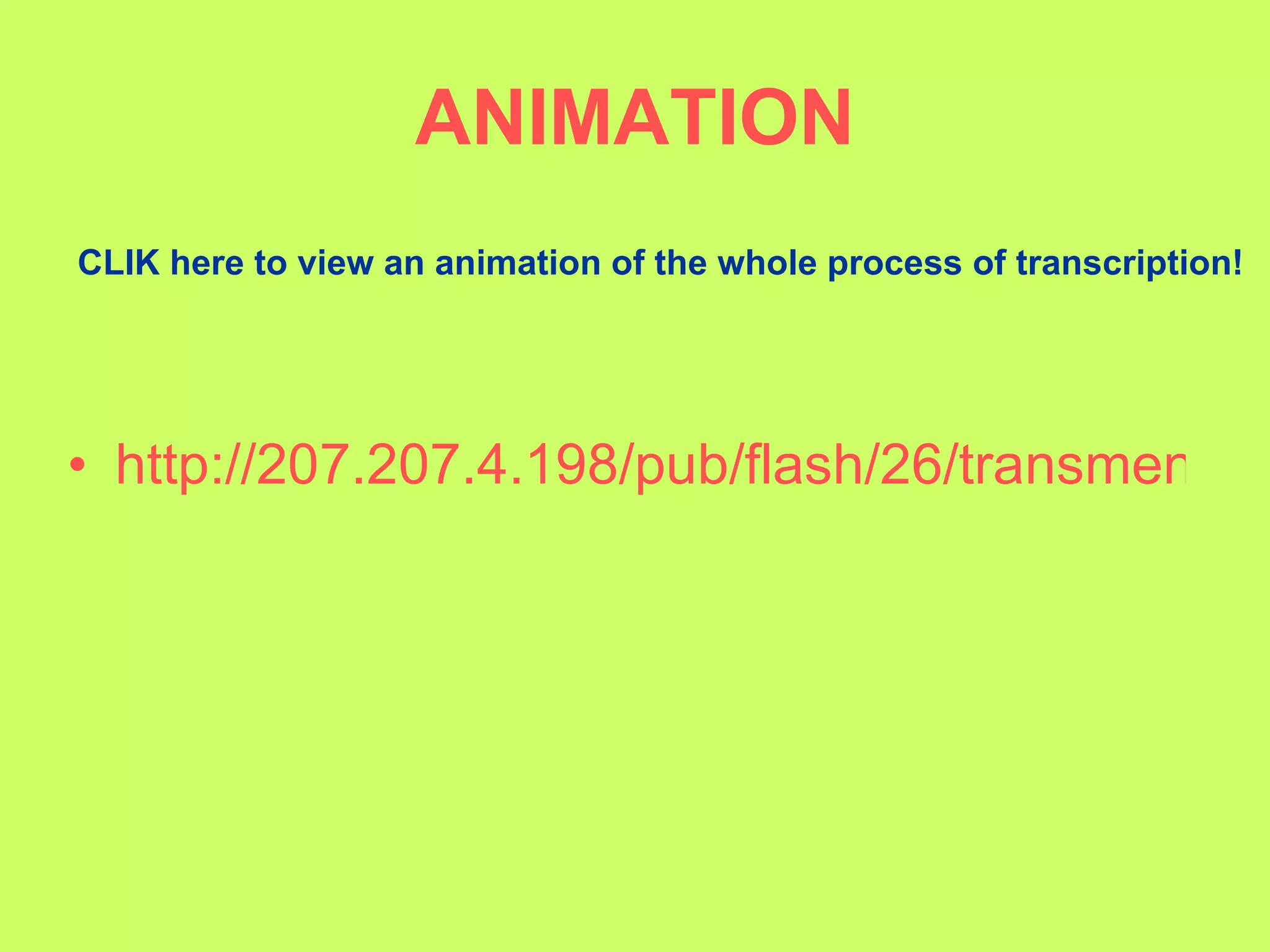 ANIMATION http://207.207.4.198/pub/flash/26/transmenu_s.swf CLIK here to view an animation of the whole process of transcription! 