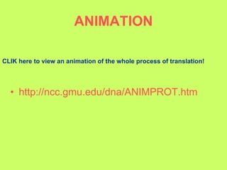 ANIMATION http://ncc.gmu.edu/dna/ANIMPROT.htm   CLIK here to view an animation of the whole process of translation! 