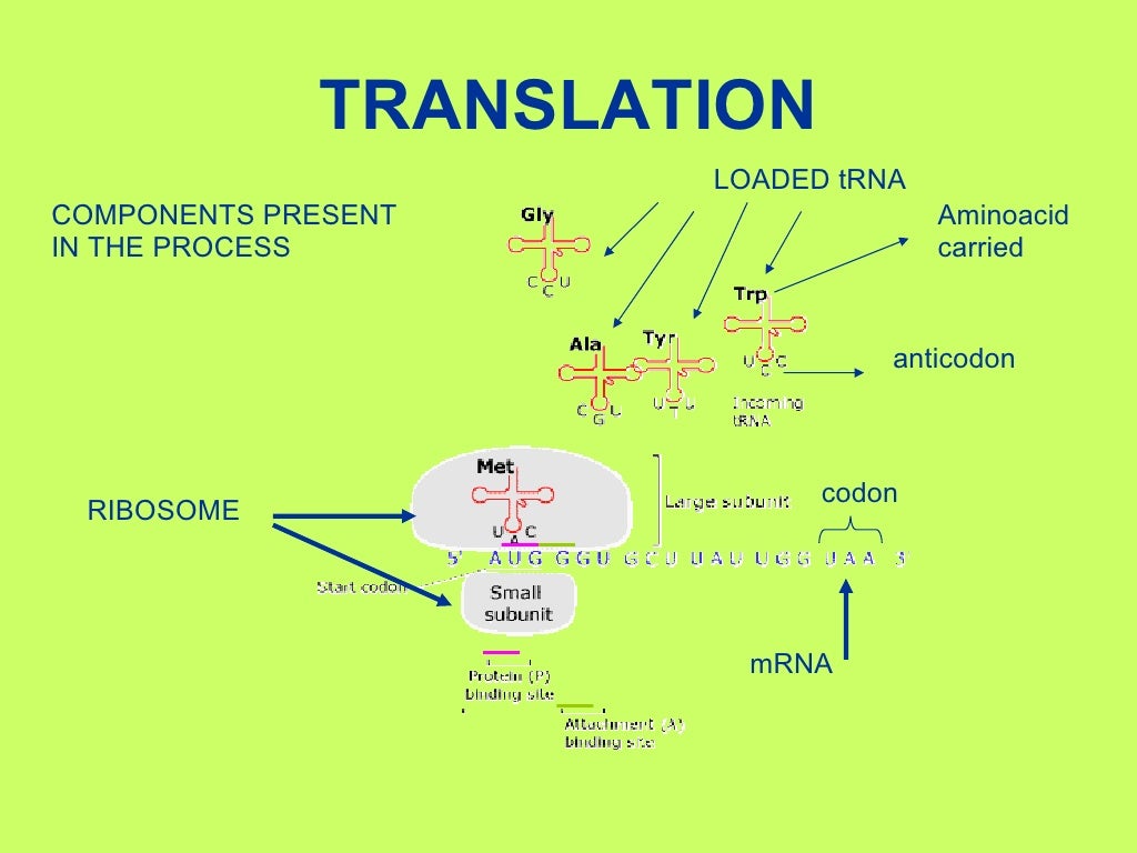 Synthesizing information picture