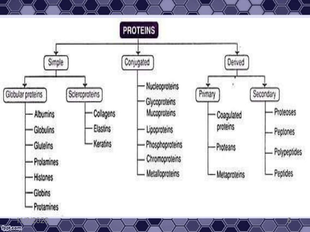 Protein ( introduction, classification, properties, structure ...