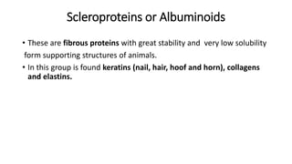 Scleroproteins or Albuminoids
• These are fibrous proteins with great stability and very low solubility
form supporting structures of animals.
• In this group is found keratins (nail, hair, hoof and horn), collagens
and elastins.
 