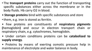 • The transport proteins carry out the function of transporting
specific substances either across the membrane or in the
body fluids. Hb carry O2 in blood.
• Storage proteins bind with specific substances and store
• them, e.g. iron is stored as ferritin.
• Few proteins are constituents of respiratory pigments
(hemoglobin) and occur in electron transport chain or
respiratory chain, e.g. cytochromes, hemoglobin.
• Under certain conditions proteins can be catabolized to
supply energy.
• Proteins by means of exerting osmotic pressure help in
maintenance of electrolyte and water balance in body.
 