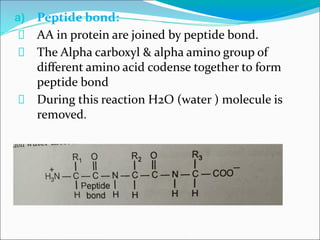 Protein & their Biochemical Role part 3 | PDF