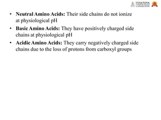 • Neutral Amino Acids: Their side chains do not ionize
at physiological pH
• BasicAmino Acids: They have positively charged side
chains at physiological pH
• AcidicAmino Acids: They carry negatively charged side
chains due to the loss of protons from carboxyl groups
 