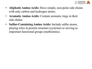 • AliphaticAmino Acids: Have simple, non-polar side chains
with only carbon and hydrogen atoms.
• Aromatic Amino Acids: Contain aromatic rings in their
side chains
• Sulfur-ContainingAmino Acids: Include sulfur atoms,
playing roles in protein structure (cysteine) or serving as
important functional groups (methionine).
 