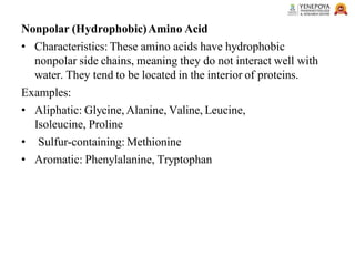 Nonpolar (Hydrophobic)Amino Acid
• Characteristics: These amino acids have hydrophobic
nonpolar side chains, meaning they do not interact well with
water. They tend to be located in the interior of proteins.
Examples:
• Aliphatic: Glycine, Alanine, Valine, Leucine,
Isoleucine, Proline
• Sulfur-containing: Methionine
• Aromatic: Phenylalanine, Tryptophan
 