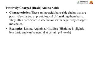 Positively Charged (Basic) Amino Acids
• Characteristics: These amino acids have side chains that are
positively charged at physiological pH, making them basic.
They often participate in interactions with negatively charged
molecules.
• Examples: Lysine, Arginine, Histidine (Histidine is slightly
less basic and can be neutral at certain pH levels)
 