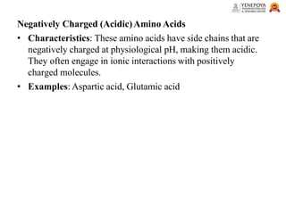 Negatively Charged (Acidic)Amino Acids
• Characteristics: These amino acids have side chains that are
negatively charged at physiological pH, making them acidic.
They often engage in ionic interactions with positively
charged molecules.
• Examples: Aspartic acid, Glutamic acid
 
